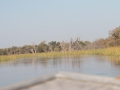 IMG_9124.jpg