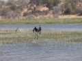 IMG_9209.jpg