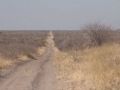 IMG_9267.jpg