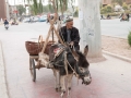 009 Kashgar.jpg