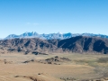 IMG_8973.jpg