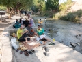 Picknicken met wildvreemden