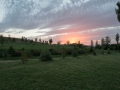 IMG_6905.jpg